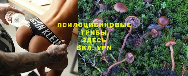 МДПВ Костерёво