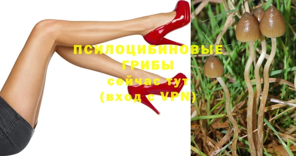 прущая мука Коряжма