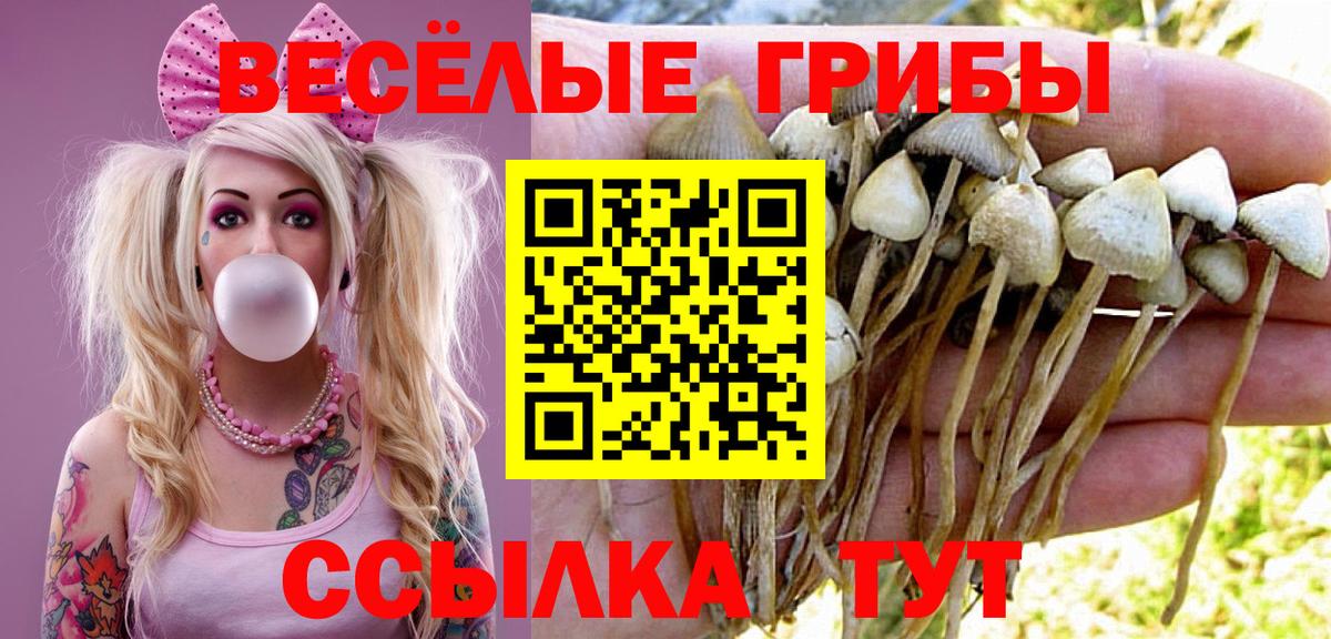 Псилоцибиновые грибы мухоморы  Сунжа 