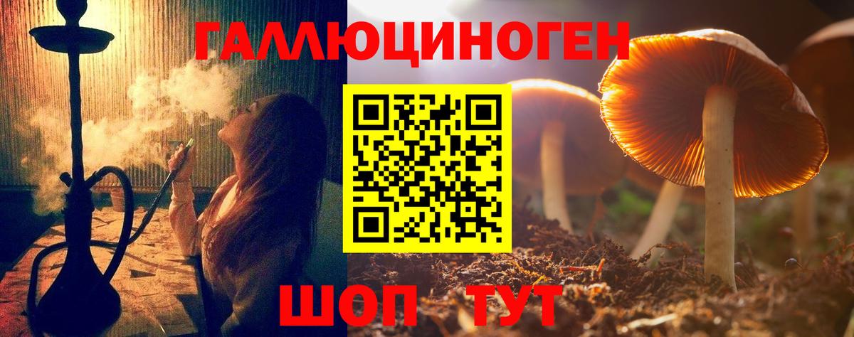 Псилоцибиновые грибы Psilocybe Сунжа