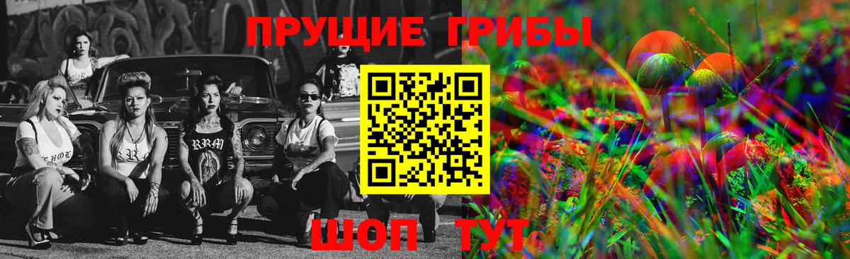 Сунжа  Галлюциногенные грибы GOLDEN TEACHER  Вход с VPN  Галлюциногенные грибы MAGIC MUSHROOMS 