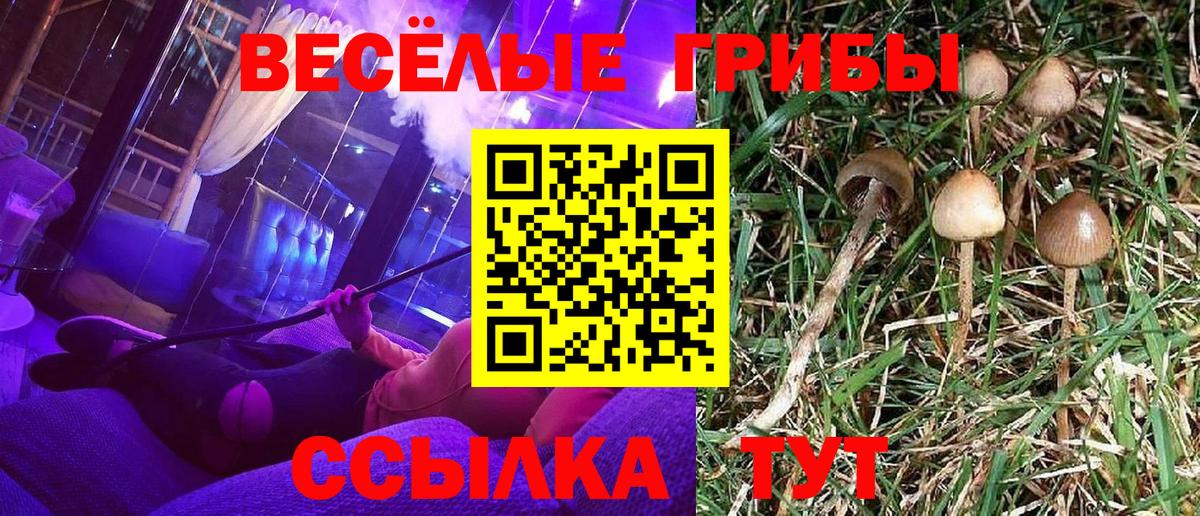 Галлюциногенные грибы Magic Shrooms Сунжа