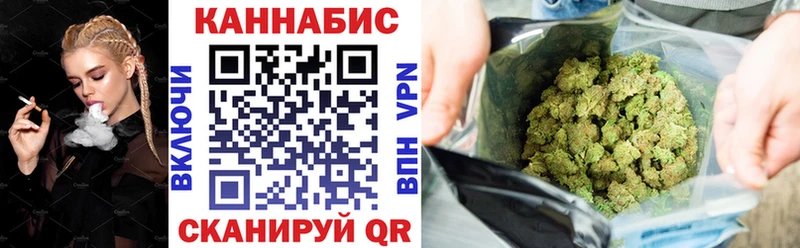 Канабис сатива  Сунжа 