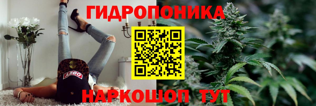 Сунжа  Бошки Шишки тримм  Вход с VPN  Бошки Шишки индика  Бошки Шишки семена 