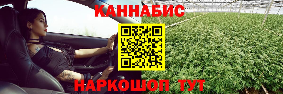 Каннабис VHQ Сунжа